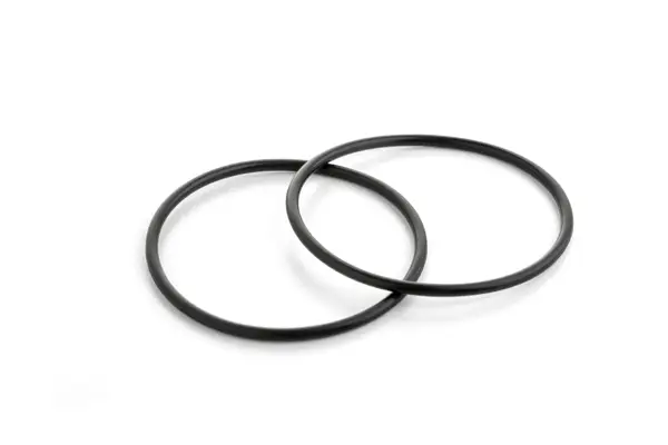 Codex_tesnilo_o-ring-19206.webp