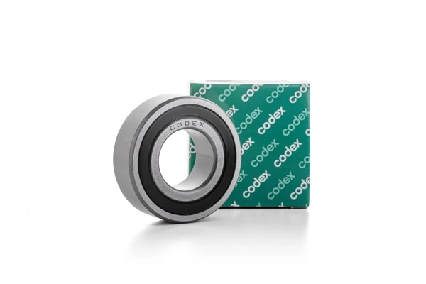 Lager CODEX 6004 2RS