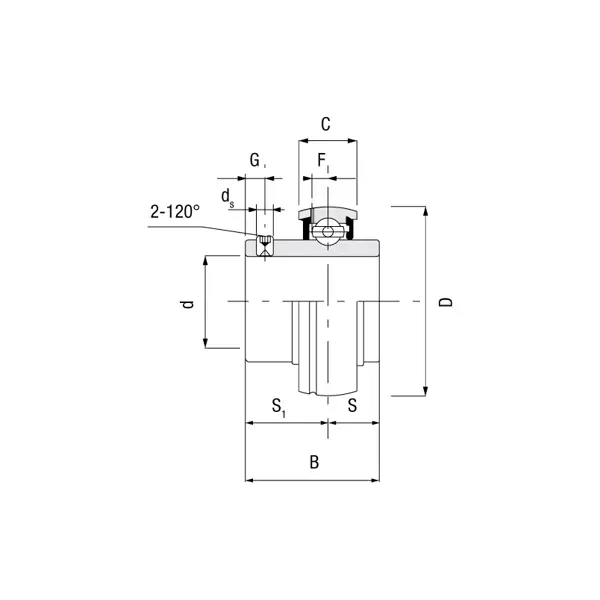 UC insert bearing_risba-41609.webp
