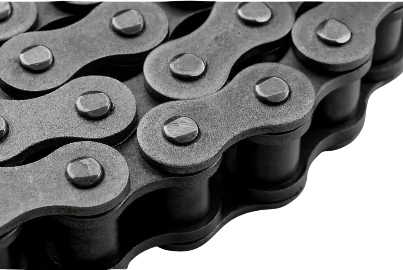 Codex - Chain link CODEX OL SS 10 A-2